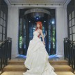 摄影螺旋猫铠甲美图,带你领略cosplay的无穷魅力。
